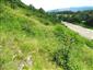 užovka stromová (4.7.2013)